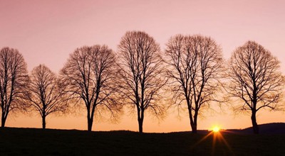 支付宝的学生特惠红包，每天可领最高6.66元，秒到账