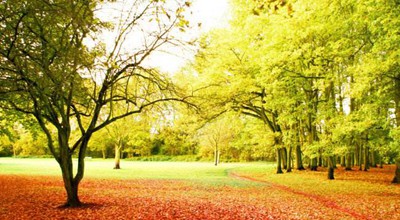 工银瑞信基金年终盛典，免费领取2.10元秒推微信红包