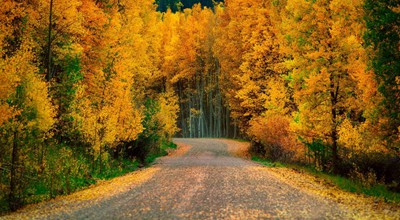 开心庄园app出了一个新玩法，一起种西瓜怎么玩？