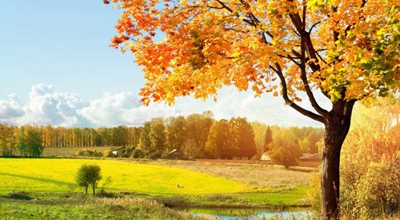 中信银行的红包雨，可领1-999元随机微信立减金可变现