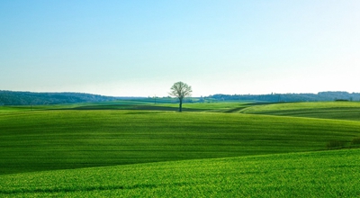 天天短剧、步步宝软件，登陆秒提现0.60元新人福利