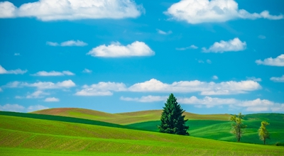 蛋花免费小说：类似常读免费小说，新人领1.00元可提现