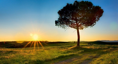 百事通：微信阅读最新平台，阅读单价每篇0.014元