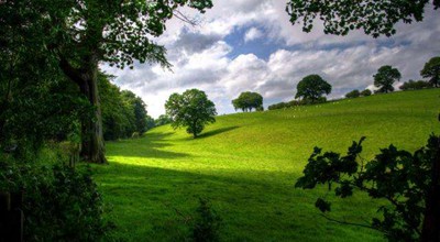 小程序建融家园的惠消费开好礼活动，领最高88元立减金